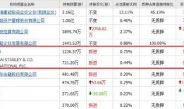 国产黄片网址,暗流涌动的网络迷雾