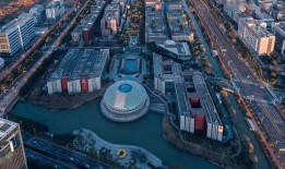 第一区国产,第一区国产生态发展概览