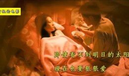 国产情侣电影,浪漫时光里的甜蜜共鸣