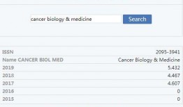 在线一区国产,在线一区国产崛起之路