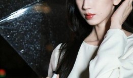 国产伊人视频,揭秘国产影视作品的魅力与风采