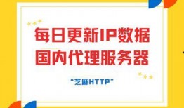 每日更新国产,聚焦最新发展动态