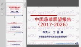 国产27页,深度解析中国电影产业的新篇章