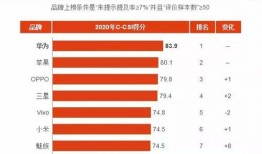 国产一级AA大片毛片,毛片背后的故事与真相