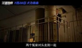 国产a级电影,国产A级电影的璀璨篇章