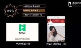 国产55页,揭秘我国科技发展的新篇章