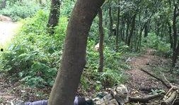 国产树林野战在线播放,热血激战，在线热血沸腾