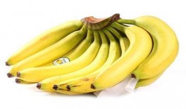 久久香蕉国产,生态农业的典范之路