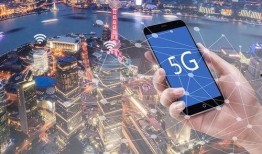 第一区国产,第一区国产生态发展概览