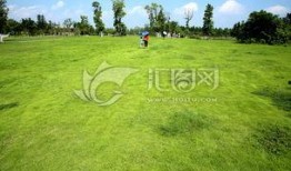 青青青草国产免费观看,国产免费观看，绿色生态影视盛宴